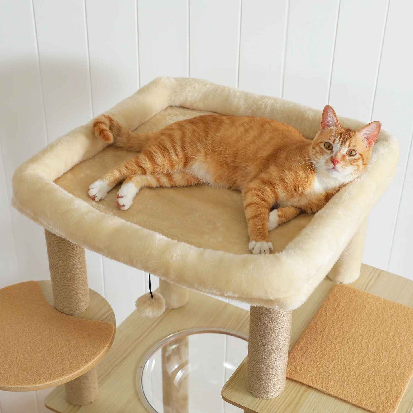 Arbre a Chat en bois | Naturel avec Griffoirs - MinouVillage