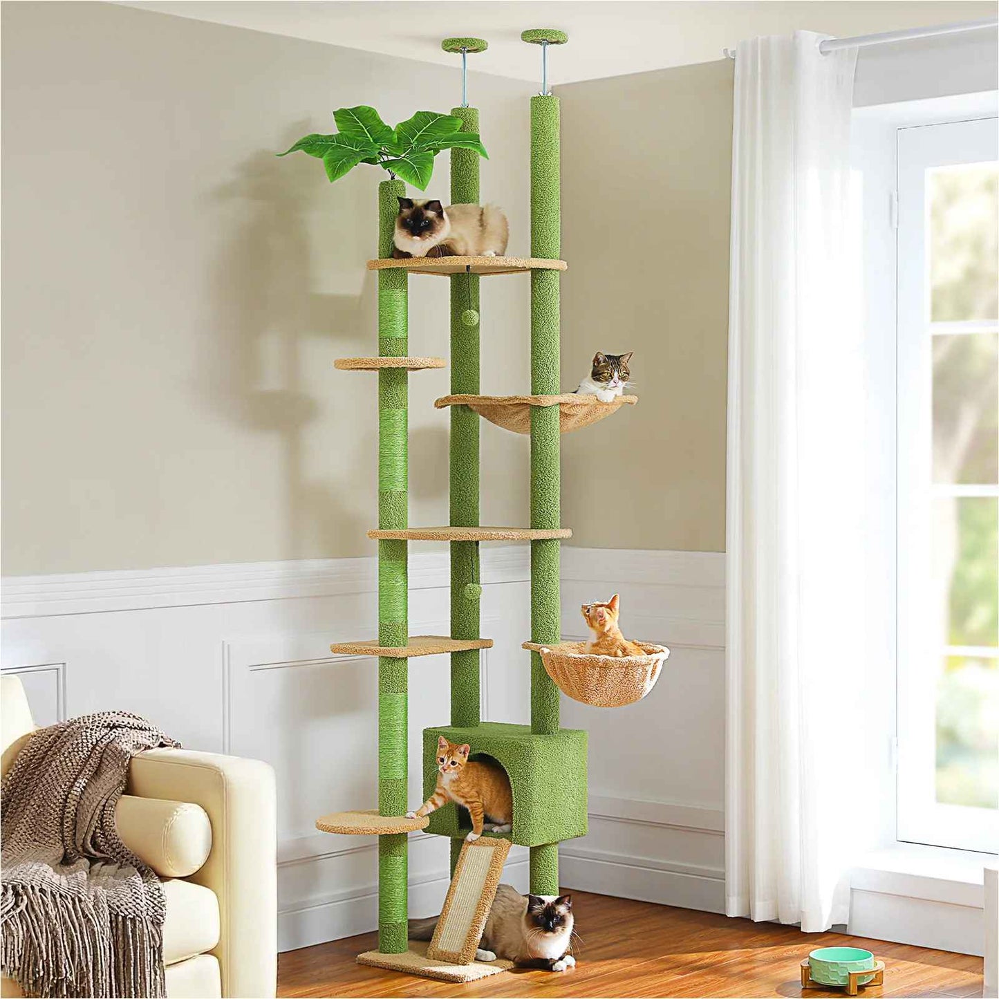 arbre Ă chat