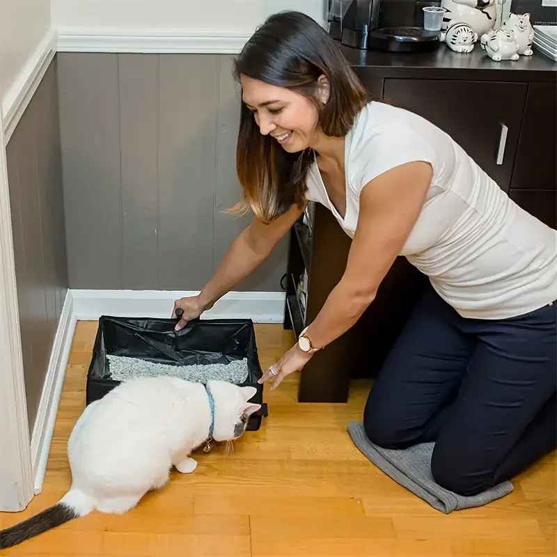 Bac à litière Chat | Pliable Nomade - MinouVillage