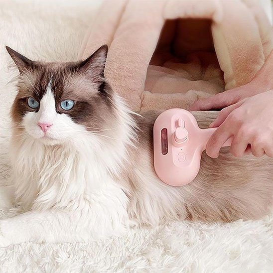 Brosse chat | AntiMue - MinouVillage