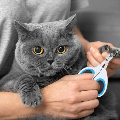 Coupe griffe chat | SecureTrim - MinouVillage