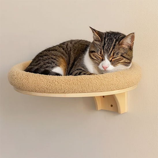 Arbre à Chat Mural | Compact & Élégant - MinouVillage