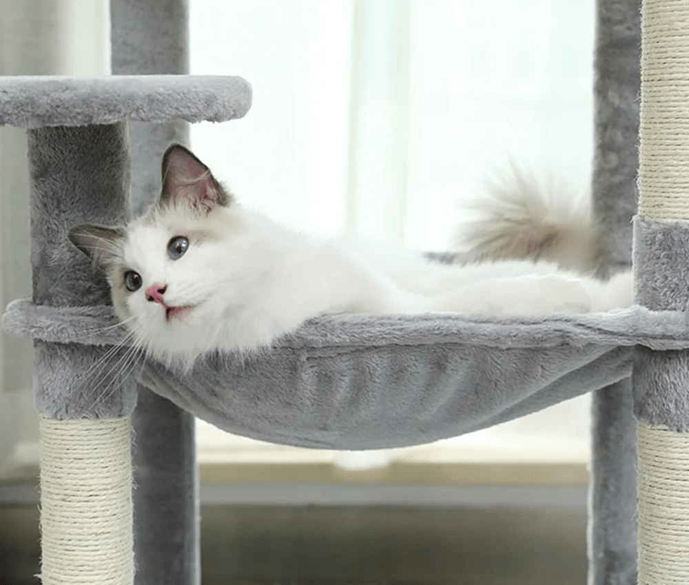 Arbre a Chats | Multi - Niveaux Sisal - MinouVillage