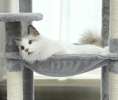 Arbre a Chats | Multi - Niveaux Sisal - MinouVillage