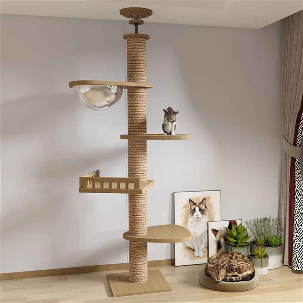 Arbre à chat