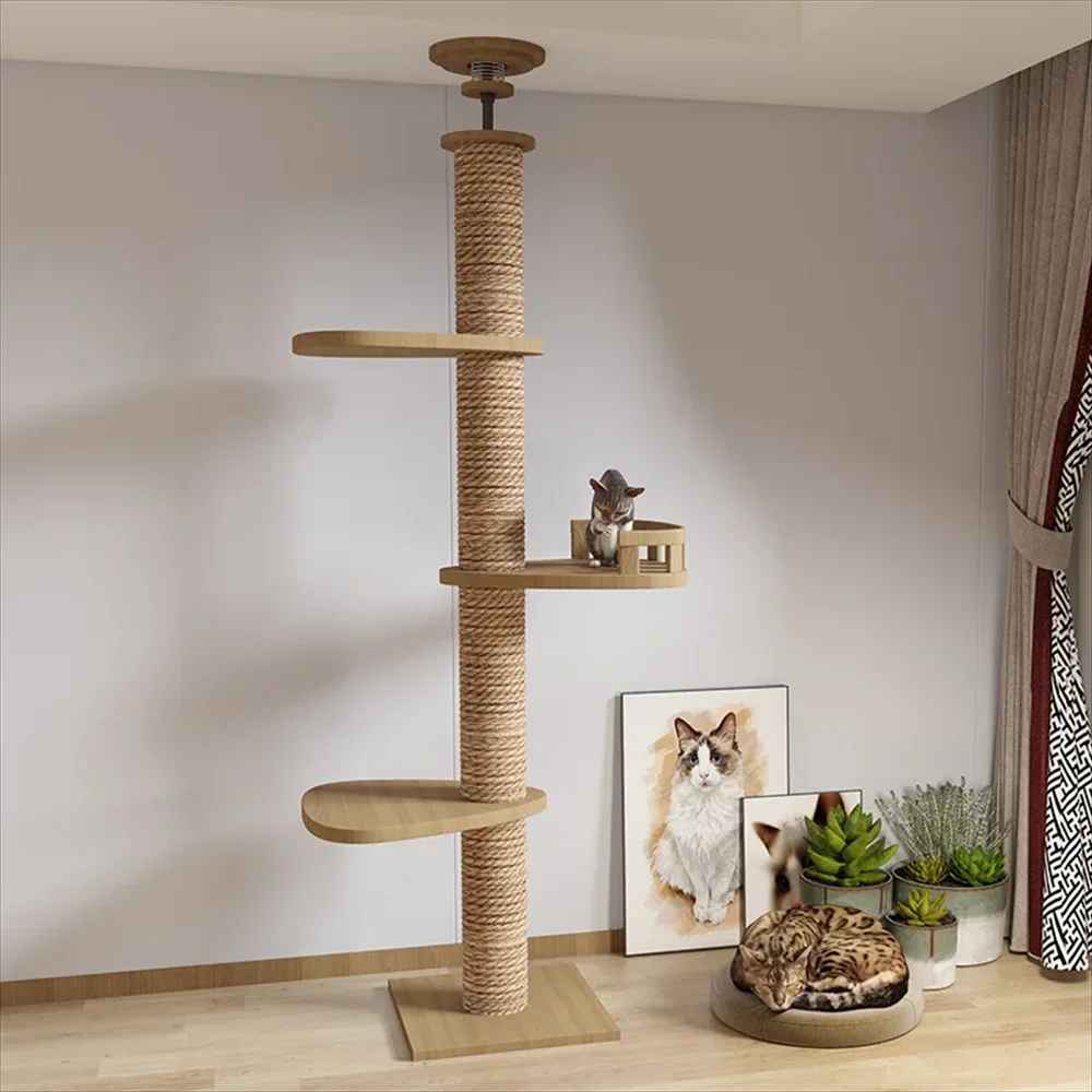Arbre à chat