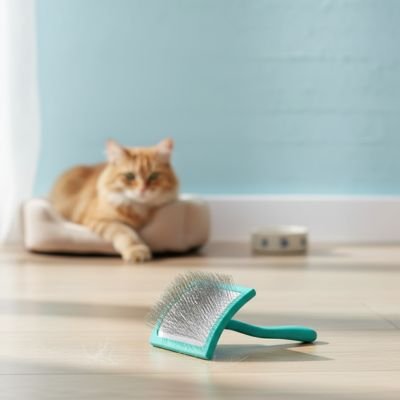 Brosse pour chat poil long | DémêlDoux - MinouVillage