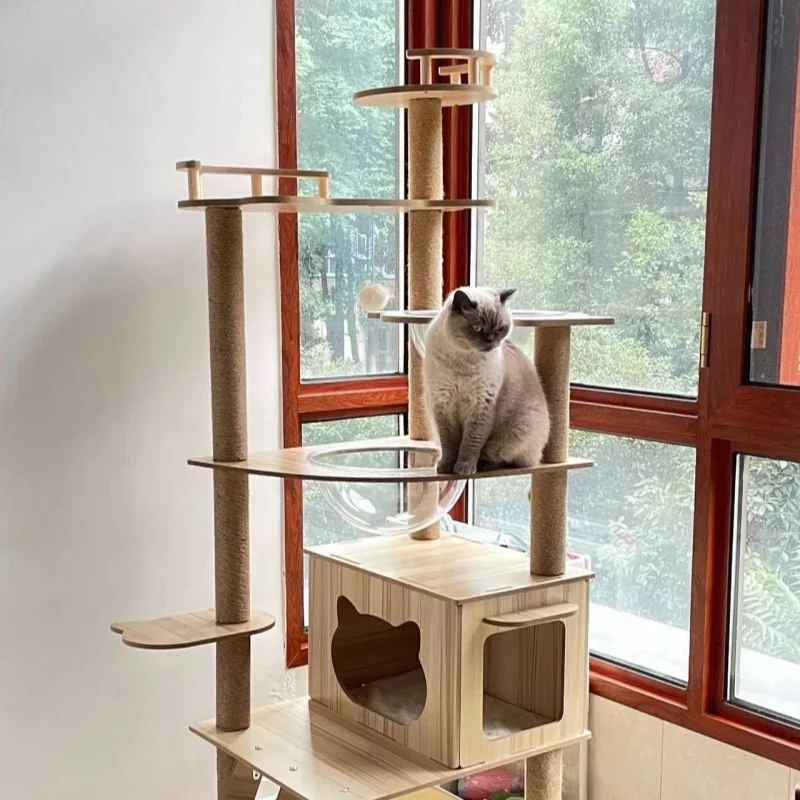 arbre a chat maine coon | Ultra-Stable XXL