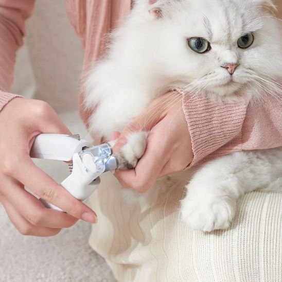 Coupe griffe chat | Ergonomique - MinouVillage