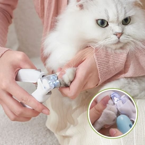 Coupe griffe chat | Ergonomique - MinouVillage