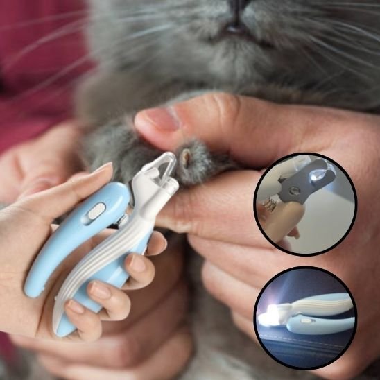 Coupe griffe chat | Ergonomique - MinouVillage