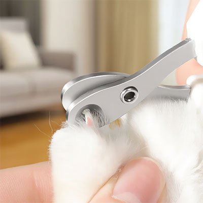 Coupe griffe chat | SecureTrim - MinouVillage