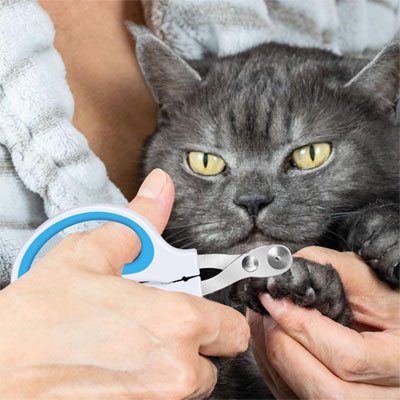 Coupe griffe chat | SecureTrim - MinouVillage