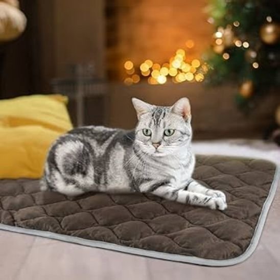 coussin chat | Douillet Premium - MinouVillage