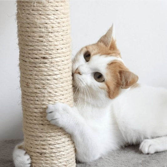 Griffoir pour chat | Sisal Naturel - MinouVillage