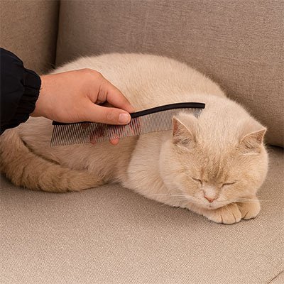 Peigne pour chat | Anti - nœuds - MinouVillage