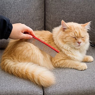 Peigne pour chat | Anti - nœuds - MinouVillage