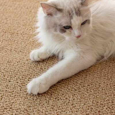 Tapis griffoir chat | ProtectDurable - MinouVillage